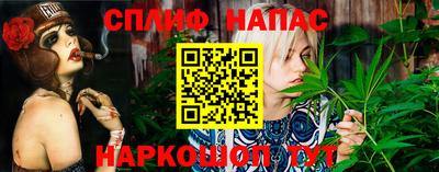 spice Донецк