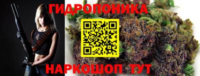 гидра Дубна