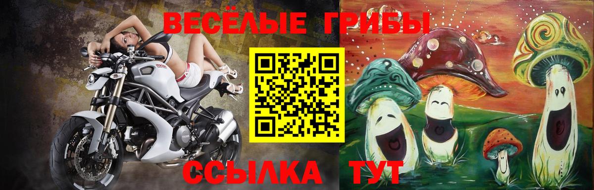 Москва  Галлюциногенные грибы мицелий  Вход с VPN 